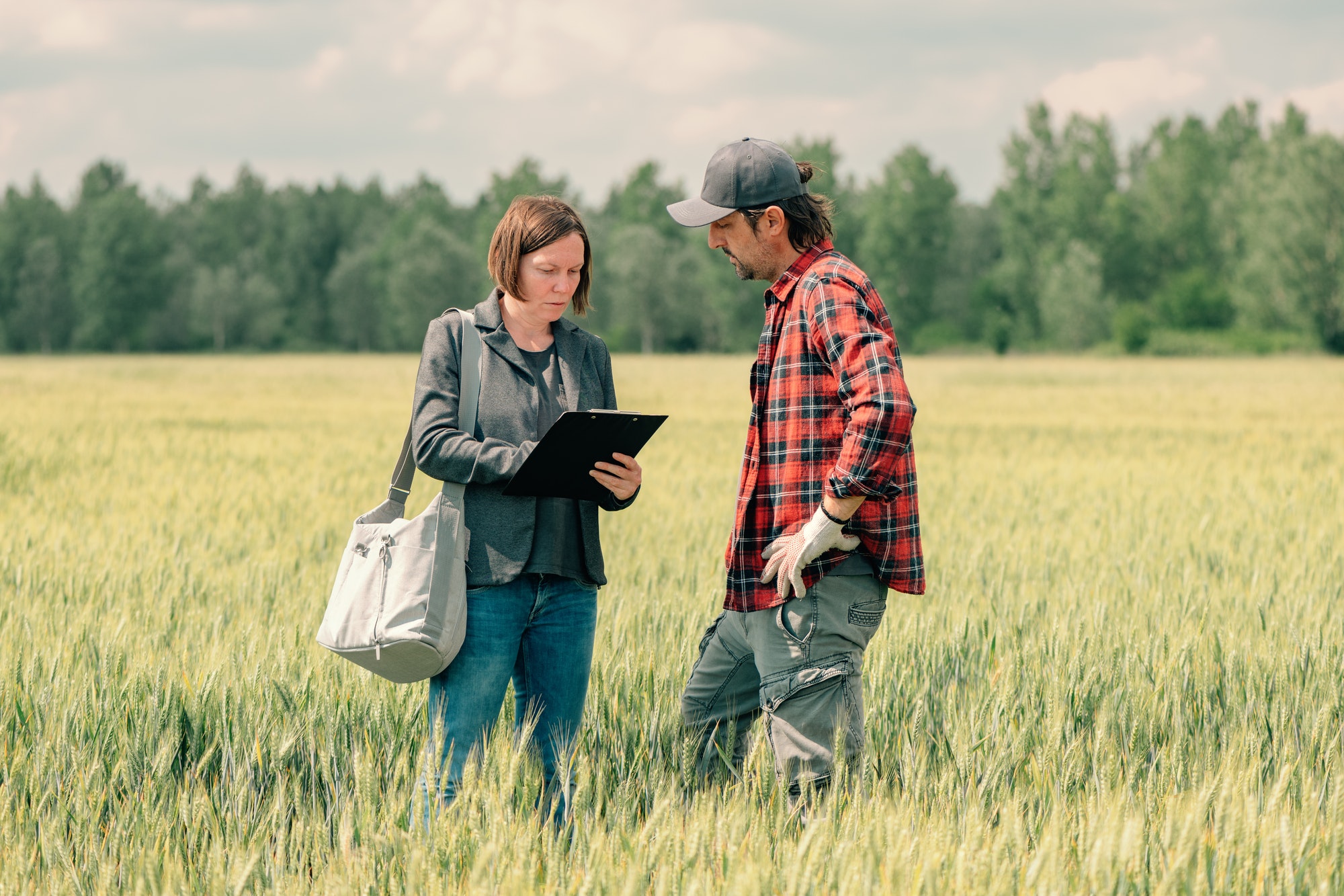 Mortgage loan officer assisting farmer in financial allowance application process